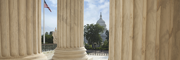 Pillars U.S. Capital Building in Background (600x200)